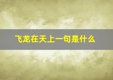 飞龙在天上一句是什么