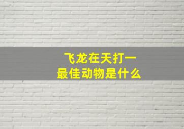 飞龙在天打一最佳动物是什么