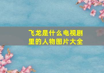 飞龙是什么电视剧里的人物图片大全