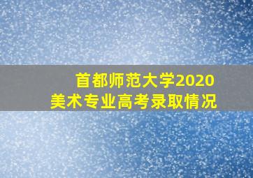 首都师范大学2020美术专业高考录取情况