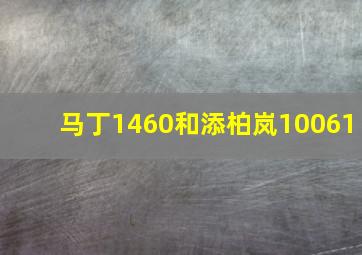 马丁1460和添柏岚10061