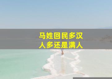 马姓回民多汉人多还是满人