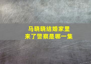 马晓晓结婚家里来了警察是哪一集