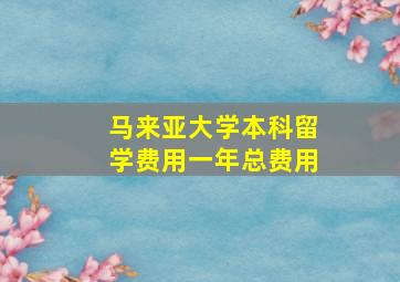 马来亚大学本科留学费用一年总费用