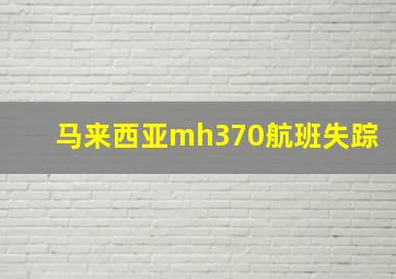 马来西亚mh370航班失踪