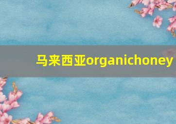 马来西亚organichoney