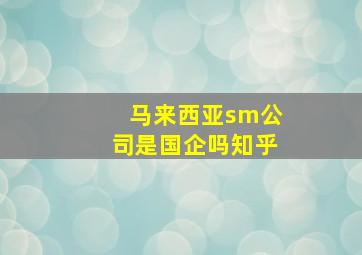 马来西亚sm公司是国企吗知乎