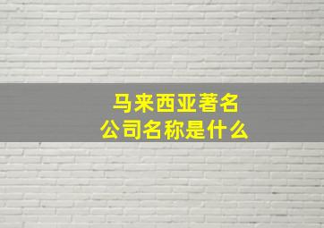 马来西亚著名公司名称是什么