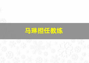 马琳担任教练