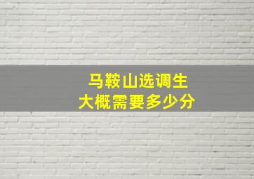 马鞍山选调生大概需要多少分