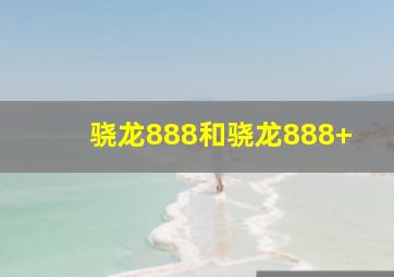 骁龙888和骁龙888+