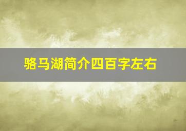 骆马湖简介四百字左右