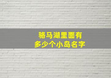 骆马湖里面有多少个小岛名字