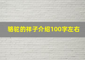 骆驼的祥子介绍100字左右