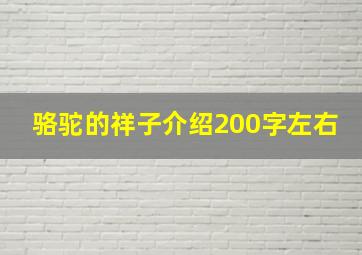 骆驼的祥子介绍200字左右