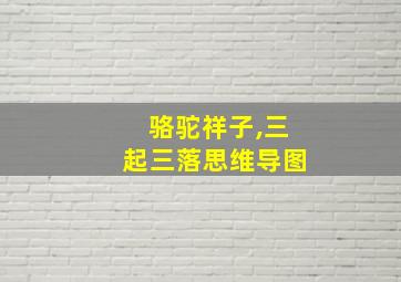 骆驼祥子,三起三落思维导图