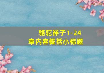 骆驼祥子1-24章内容概括小标题