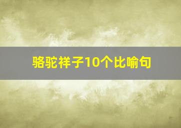 骆驼祥子10个比喻句