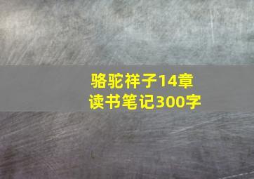 骆驼祥子14章读书笔记300字