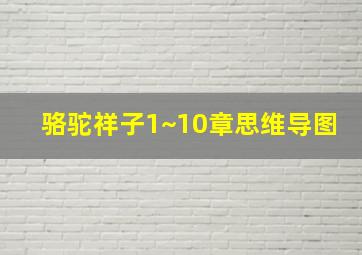 骆驼祥子1~10章思维导图