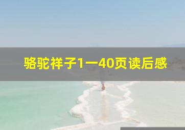 骆驼祥子1一40页读后感