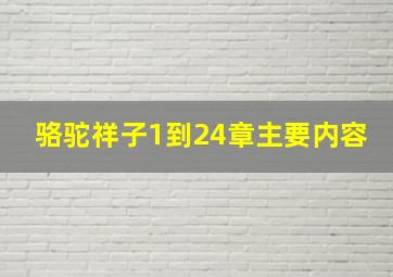 骆驼祥子1到24章主要内容