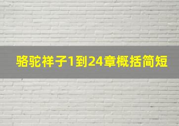 骆驼祥子1到24章概括简短