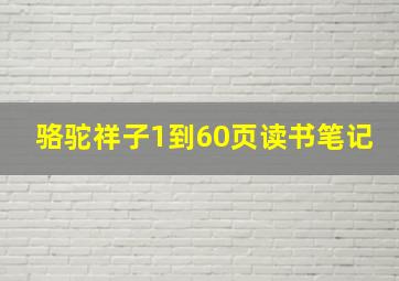 骆驼祥子1到60页读书笔记