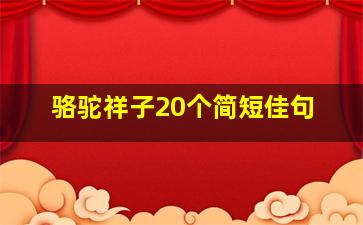 骆驼祥子20个简短佳句