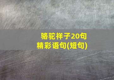 骆驼祥子20句精彩语句(短句)