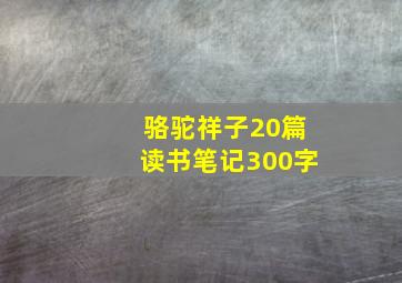 骆驼祥子20篇读书笔记300字