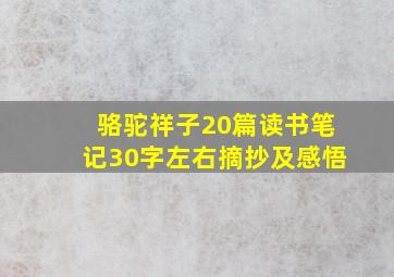 骆驼祥子20篇读书笔记30字左右摘抄及感悟