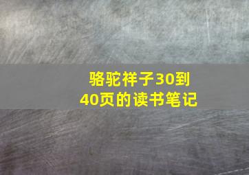 骆驼祥子30到40页的读书笔记