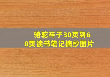 骆驼祥子30页到60页读书笔记摘抄图片