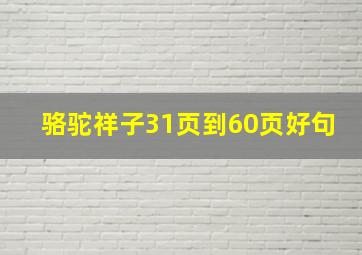 骆驼祥子31页到60页好句