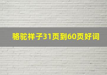 骆驼祥子31页到60页好词