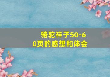 骆驼祥子50-60页的感想和体会