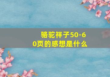 骆驼祥子50-60页的感想是什么