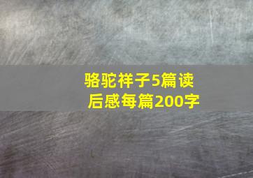 骆驼祥子5篇读后感每篇200字