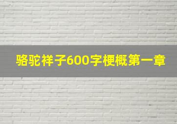 骆驼祥子600字梗概第一章