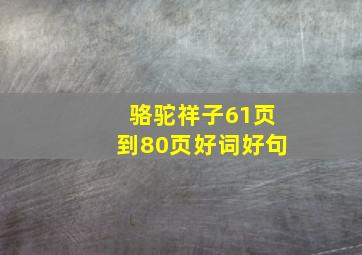 骆驼祥子61页到80页好词好句