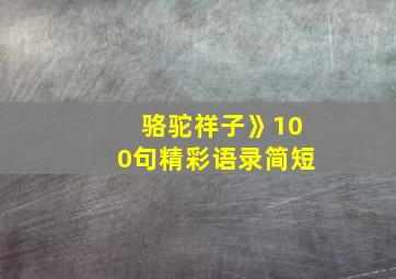 骆驼祥子》100句精彩语录简短