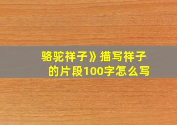 骆驼祥子》描写祥子的片段100字怎么写