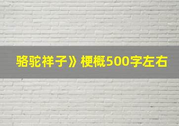 骆驼祥子》梗概500字左右