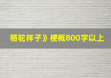 骆驼祥子》梗概800字以上