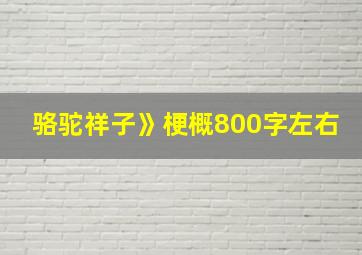 骆驼祥子》梗概800字左右