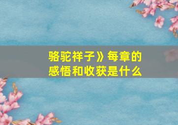 骆驼祥子》每章的感悟和收获是什么