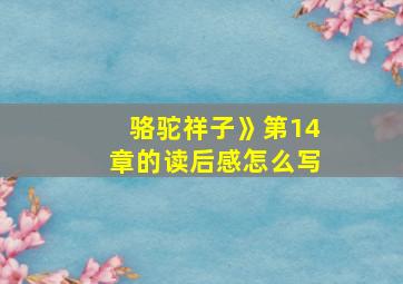 骆驼祥子》第14章的读后感怎么写