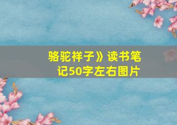 骆驼祥子》读书笔记50字左右图片