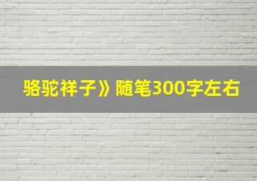 骆驼祥子》随笔300字左右